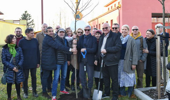 Richard Gere sadzi drzewo w Grabniku, 17 listopada 2019